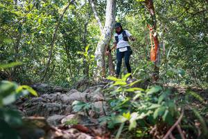 BIB: 
                            <button type="button" onclick="openModal(27704801)" class="btn btn-primary btn-sm float-right btn-popup" data-toggle="modal" data-target=".modal-high-quality">
                        <i class="fas fa-shopping-cart"></i> Add to Cart
                    </button>
                                            <button type="button" onclick="isThisMe(27704801, true)" class="btn btn-success btn-sm float-right btn-popup btn-isme hidden" data-toggle="tooltip" data-placement="bottom" title="นี่คือรูปของคุณใช่ไหม คลิกที่นี่เพื่อเอาเข้าอัลบั้ม">
                        <i class="fas fa-plus"></i> Add to album
                    </button>
                    <button type="button" onclick="isThisMe(27704801, false)" class="btn btn-warning btn-sm float-right btn-popup btn-isnotme hidden">
                        <i class="fas fa-ban"></i> Remove from album
                    </button>